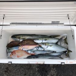 ボートジギング・エギング